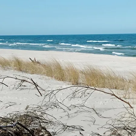 Zakatek Na Ptasiej *