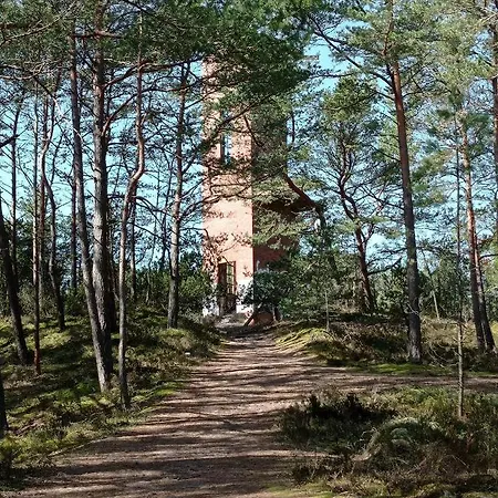 Zakatek Na Ptasiej