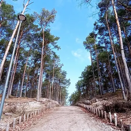 Zakatek Na Ptasiej Sasino