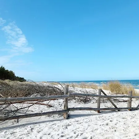 Zakatek Na Ptasiej *