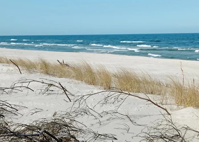 Zakatek Na Ptasiej *