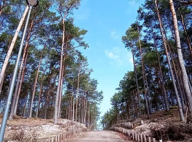 Zakatek Na Ptasiej Sasino