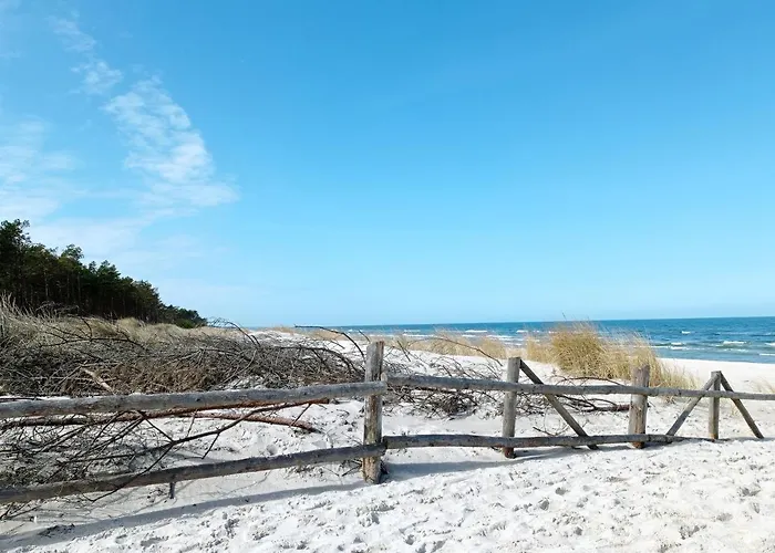 Zakatek Na Ptasiej *